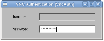 VNC_auth